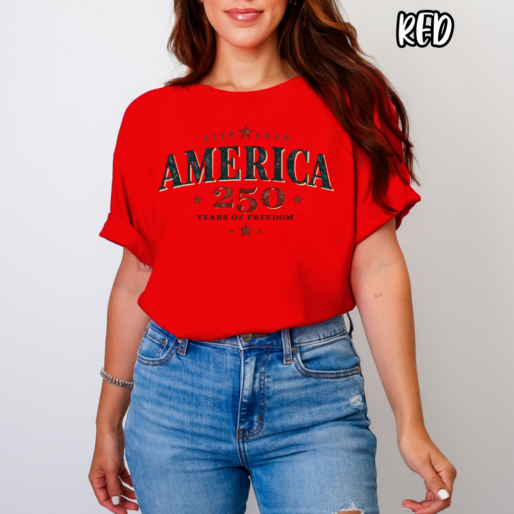 AMERICA 250 ~  USA ~ Tee Sweatshirt